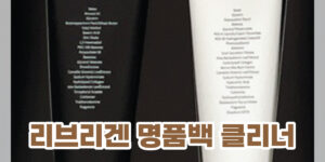가죽 클리너 추천