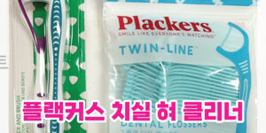 치실 혀클리너 추천