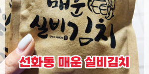 선화동매운실비김치