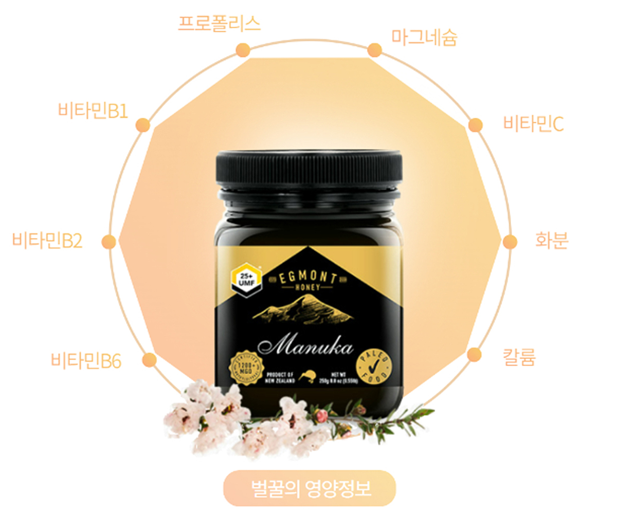 프리미엄 꿀 추천