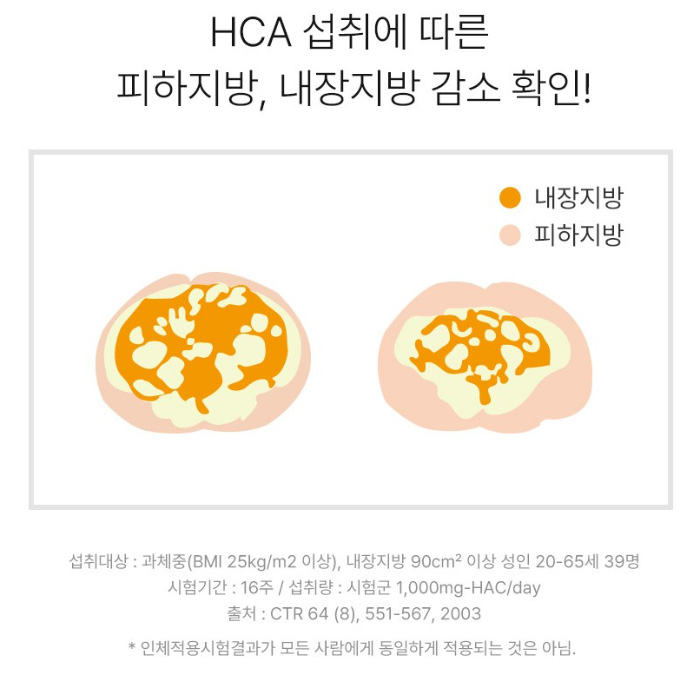 가르시니아 다이어트 추천