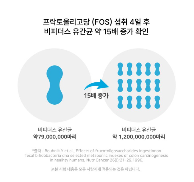 가르시니아 다이어트 추천
