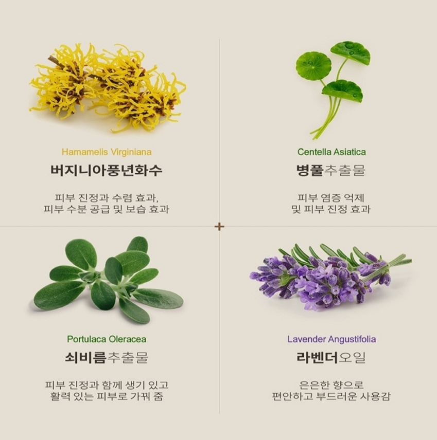 약산성 미스트